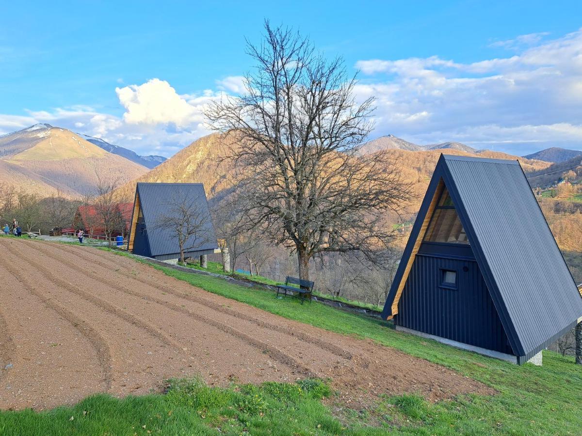 Fern Farm Tiny Home Mojkovac Ngoại thất bức ảnh