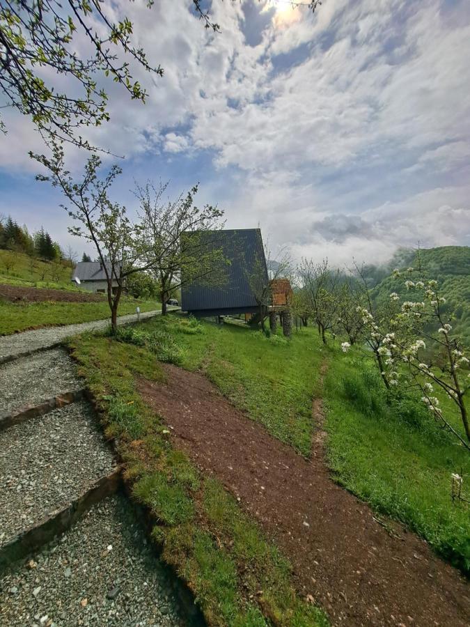 Fern Farm Tiny Home Mojkovac Ngoại thất bức ảnh