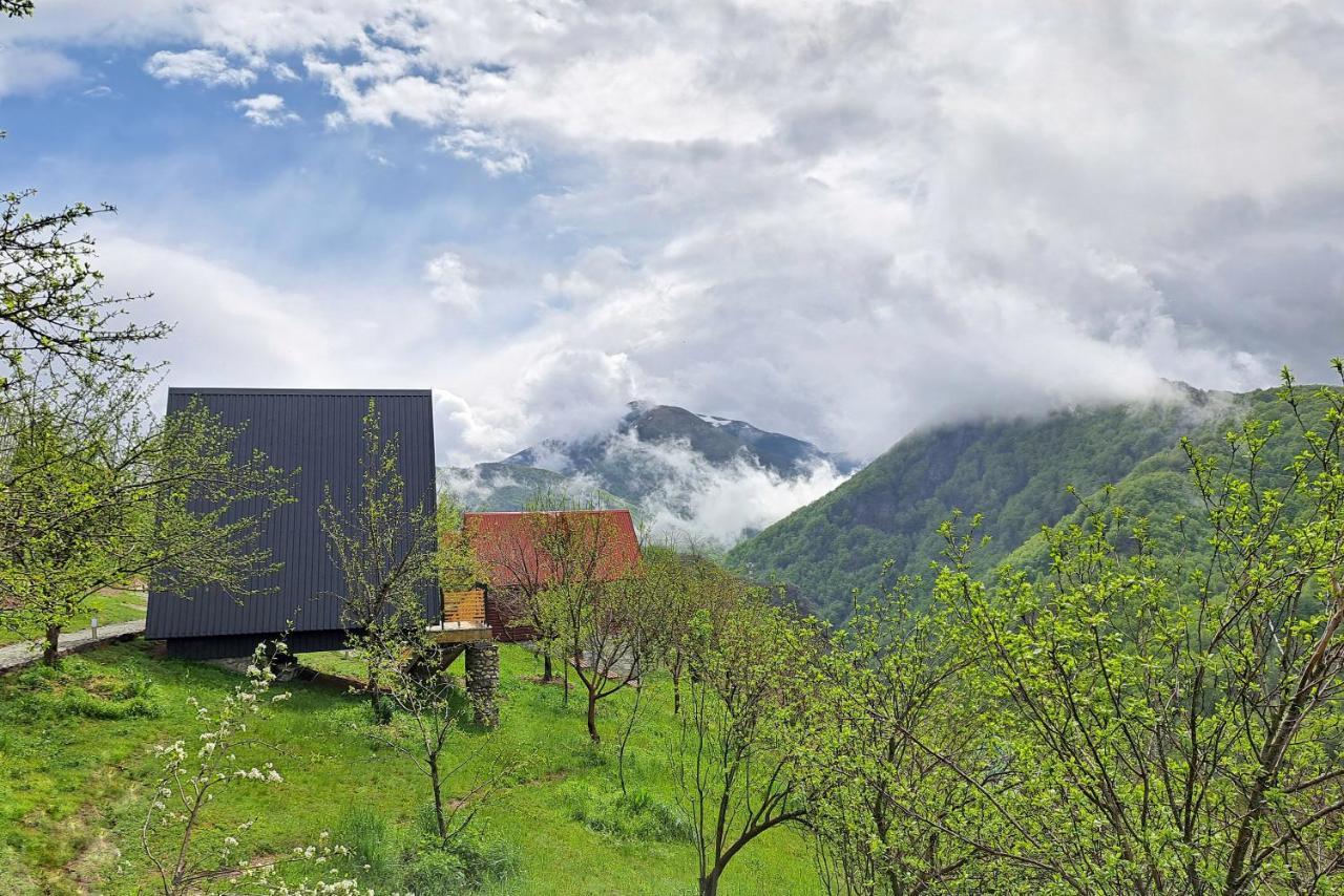 Fern Farm Tiny Home Mojkovac Ngoại thất bức ảnh