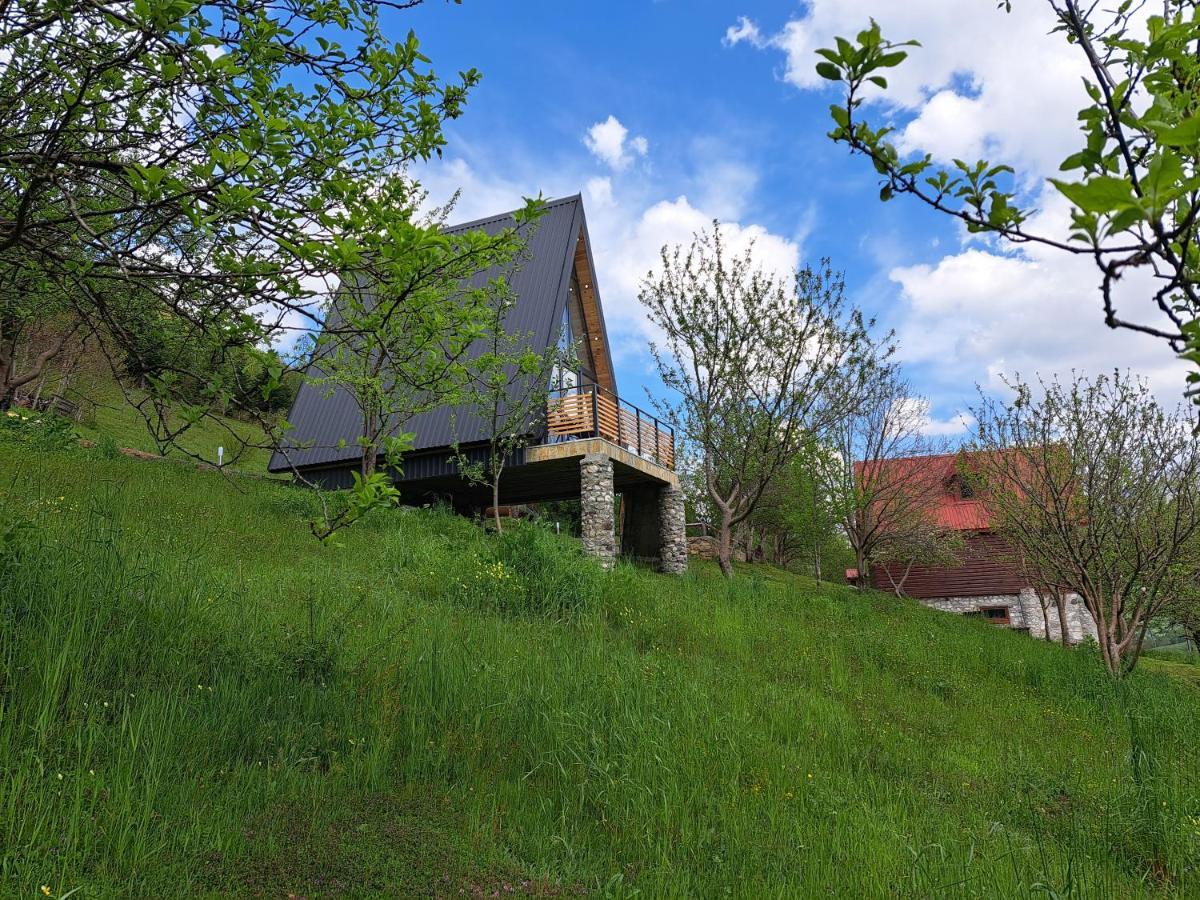 Fern Farm Tiny Home Mojkovac Ngoại thất bức ảnh