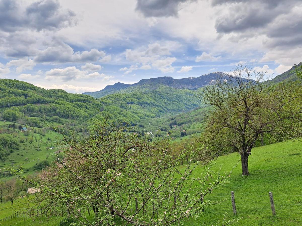 Fern Farm Tiny Home Mojkovac Ngoại thất bức ảnh