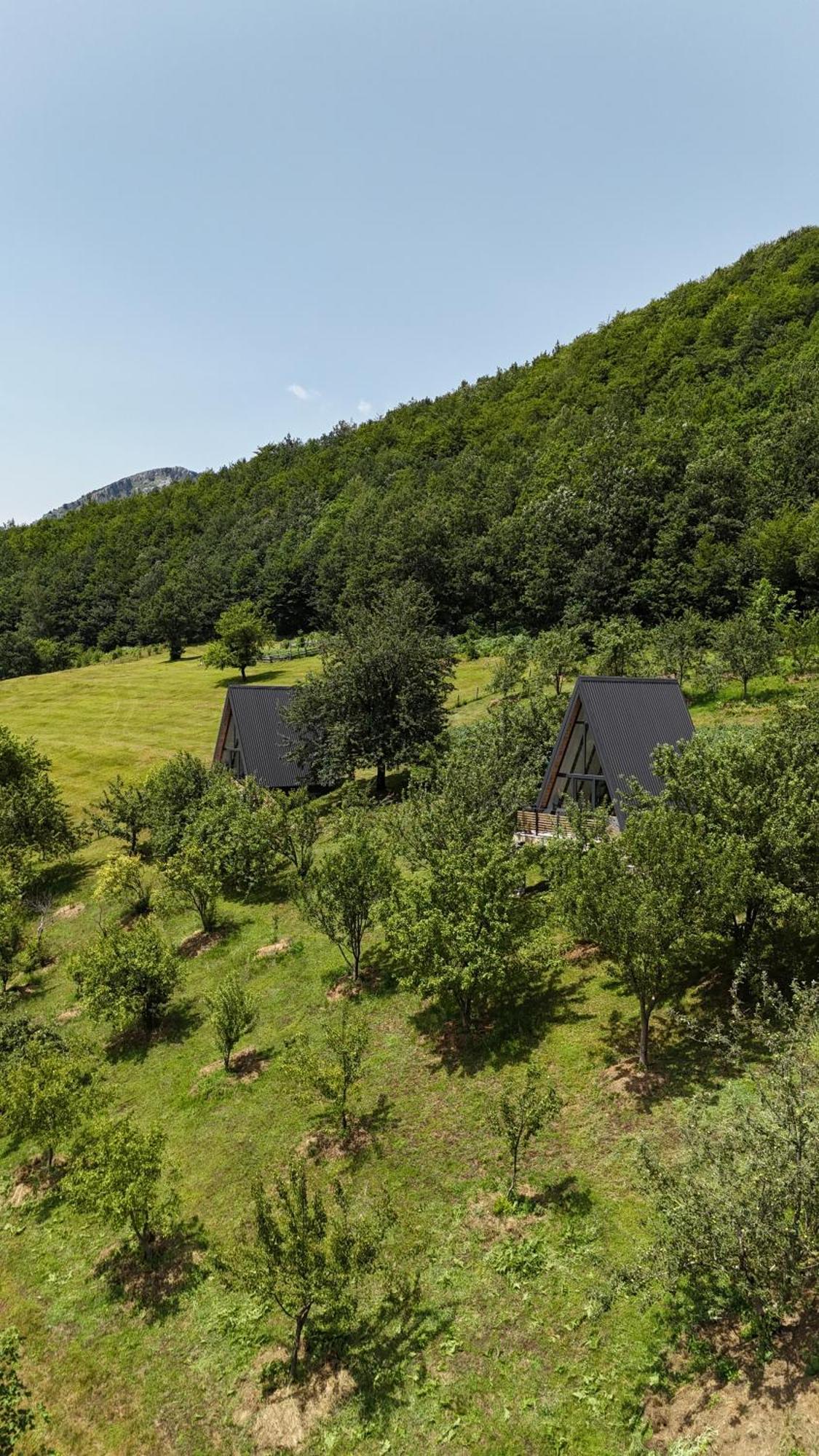 Fern Farm Tiny Home Mojkovac Ngoại thất bức ảnh