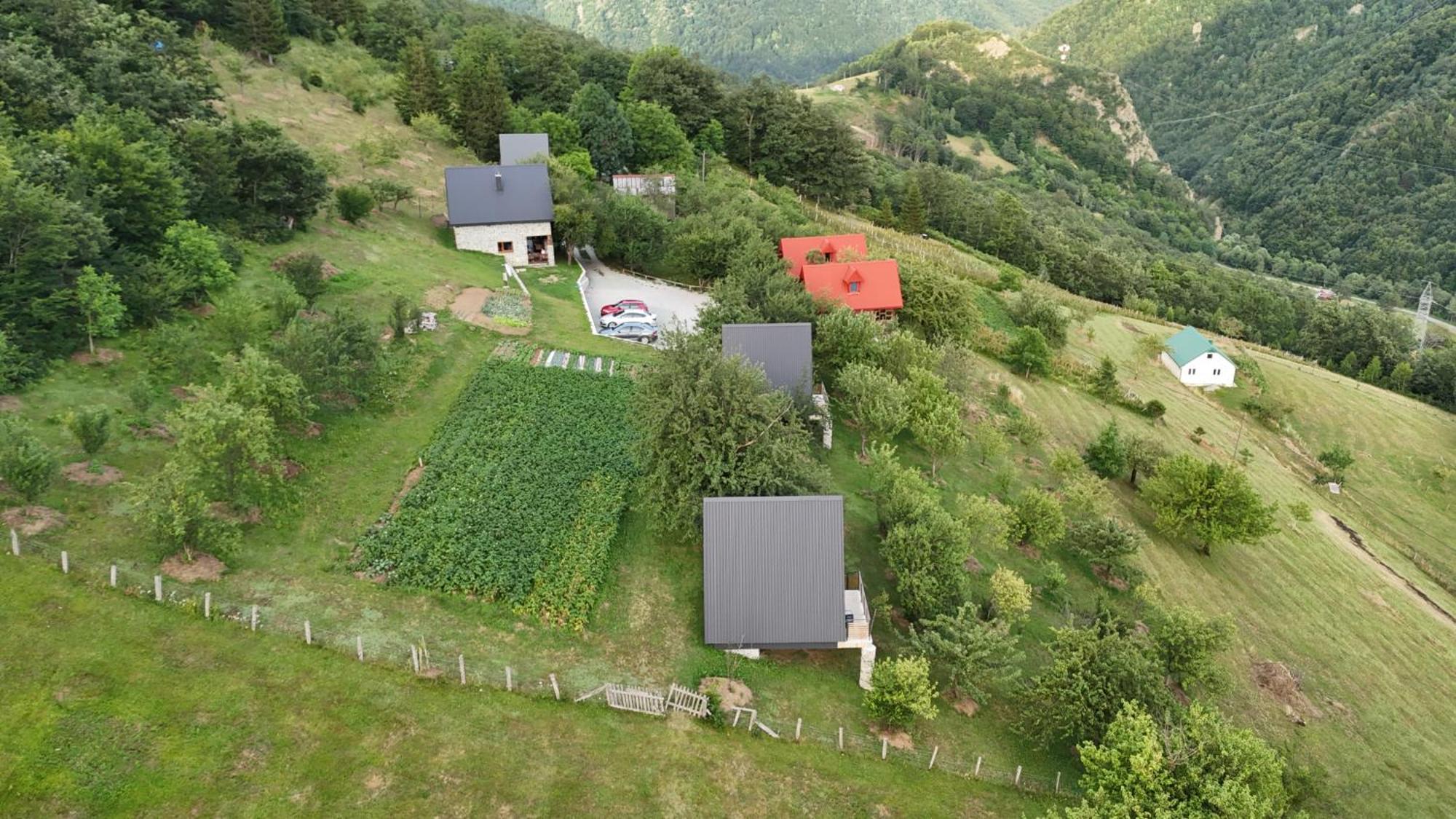 Fern Farm Tiny Home Mojkovac Ngoại thất bức ảnh